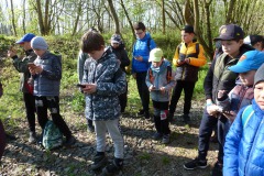 Kněžpolský les_iNaturalist