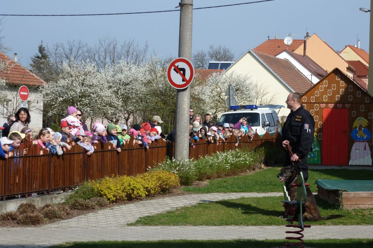 Policie ČR