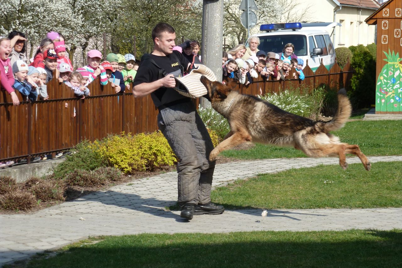 Policie ČR