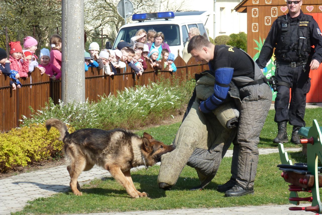 Policie ČR