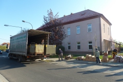 Sběr papíru - jaro