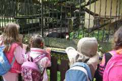 Zoo